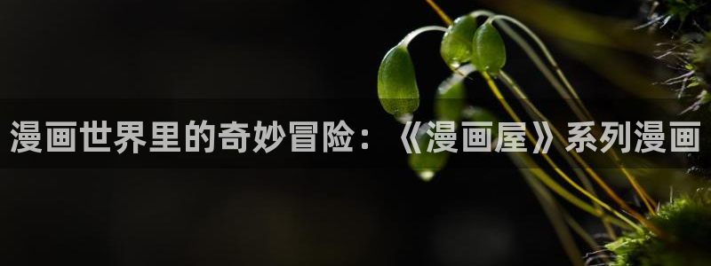 七七漫画网站入口:漫画世界里的奇妙冒险:《漫画屋》系列漫画