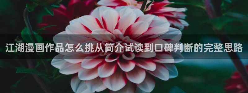 七七漫画连载作品：江湖漫画作品怎么挑从简介试读到口碑判断的完整思路