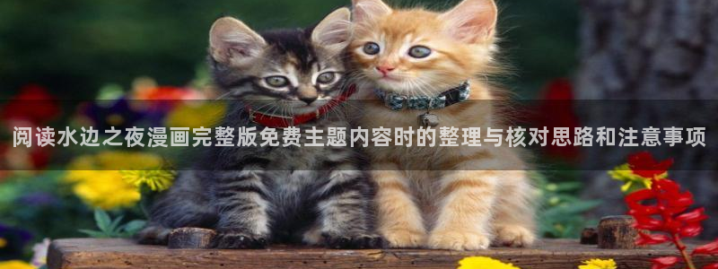 羞羞漫画在线入口：阅读水边之夜漫画完整版免费主题内容时的整理与核对思路和注意事项