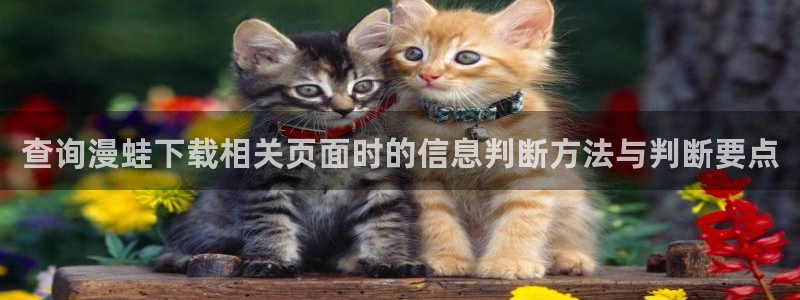 歪歪羞羞漫画七七漫画网站导航:查询漫蛙下载相关页面时的信息判断方法与判断要点