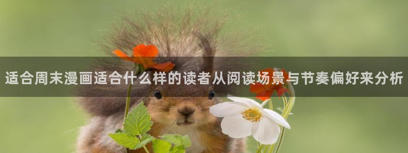 七七漫画网站导航:适合周末漫画适合什么样的读者从阅读场景与节奏偏好来分析