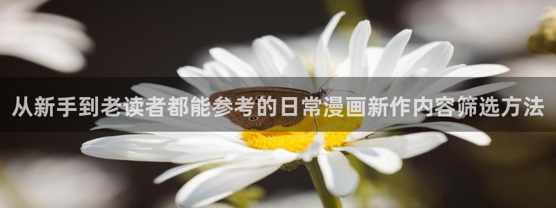 歪歪漫画阅读入口:从新手到老读者都能参考的日常漫画新作内容筛选方法